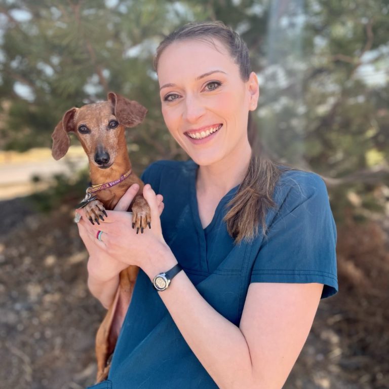 Amanda Meet Our Team Yorkshire Veterinary Hospital