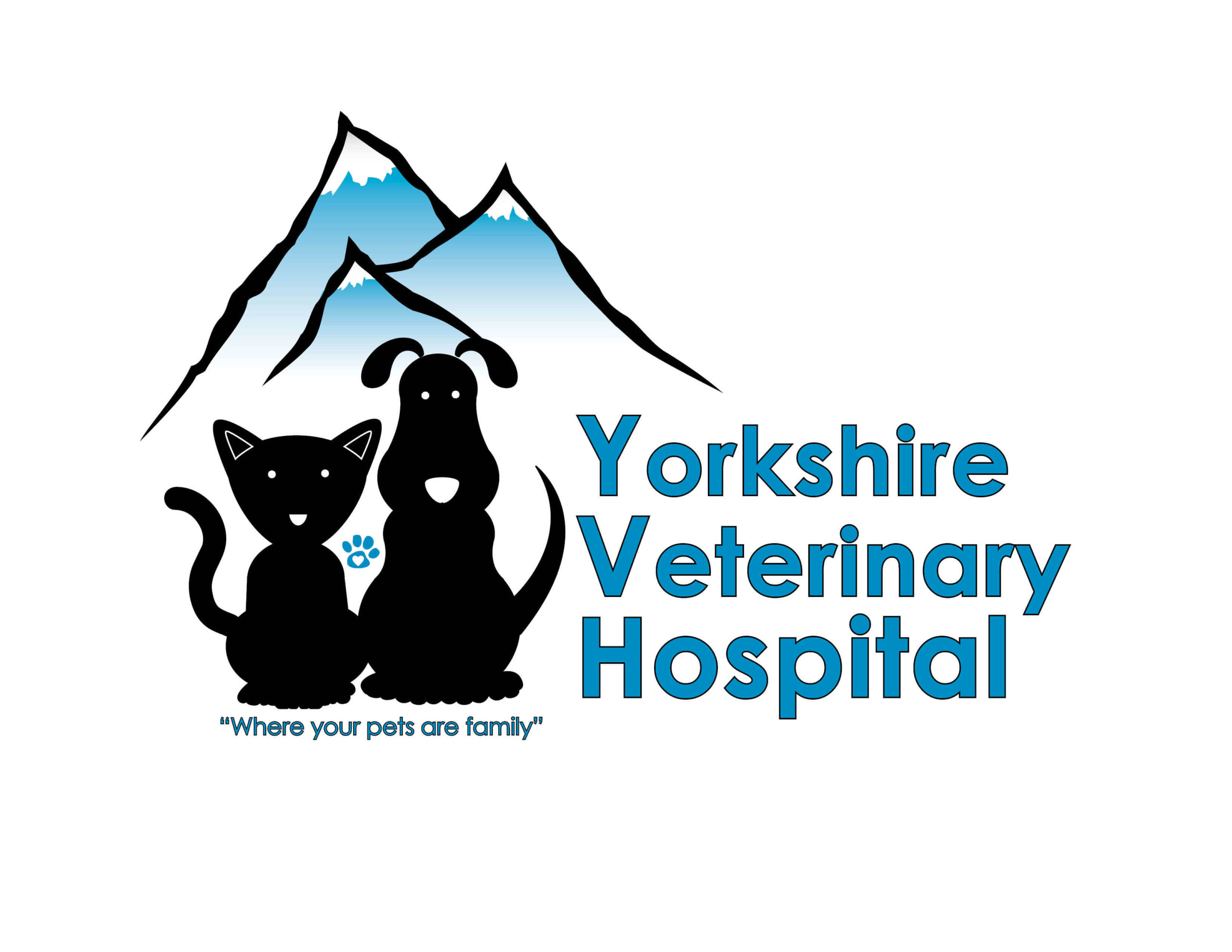 Home | Yorkshire Veterinary Hospital in Colorado Springs